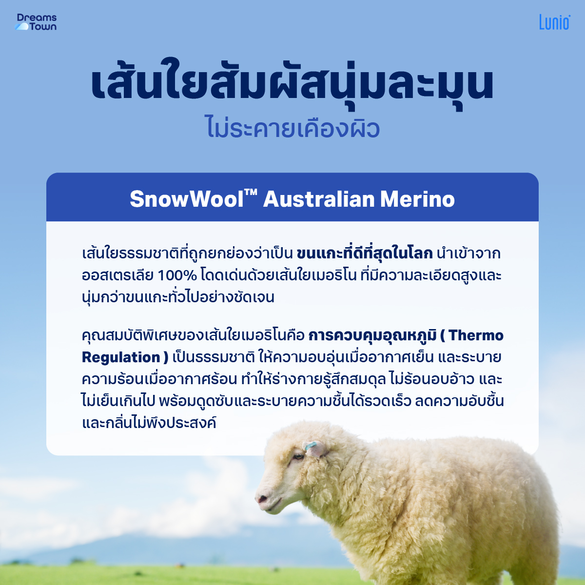 ที่นอนยางพารา 3.5 ฟุต LUNIO LUXE MATTRESS หนา 15 นิ้ว_2